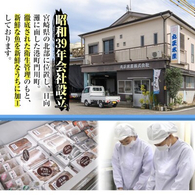 【毎月定期便】骨取りさば切身と鮭カットのセット(合計約860g)全6回