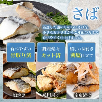 【毎月定期便】骨取りさば切身と鮭カットのセット(総重量約4kg)サーモン切り落とし付き全3回