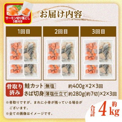 【毎月定期便】骨取りさば切身と鮭カットのセット(総重量約4kg)サーモン切り落とし付き全3回