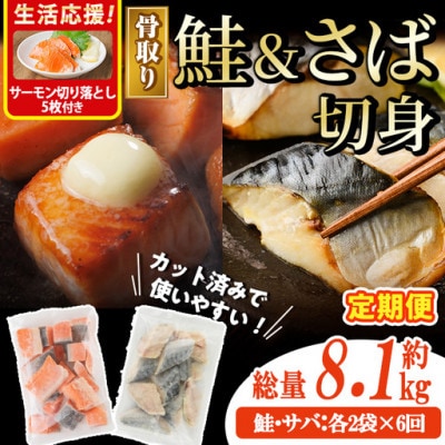 【毎月定期便】骨取りさば切身と鮭カットのセット(総重量約8.1kg)サーモン切り落とし付き全6回