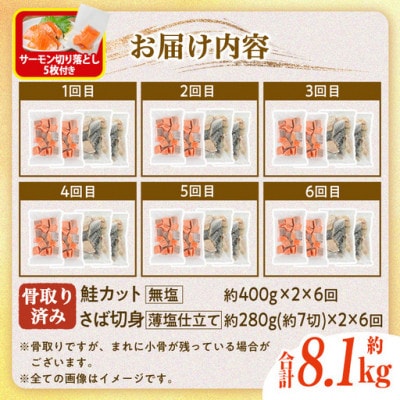 【毎月定期便】骨取りさば切身と鮭カットのセット(総重量約8.1kg)サーモン切り落とし付き全6回