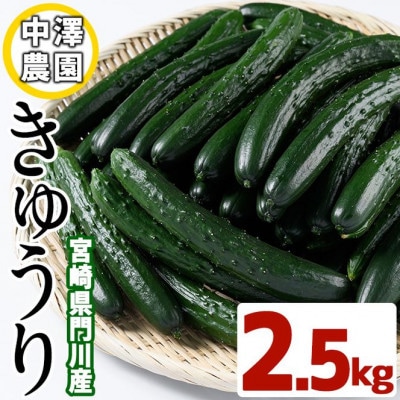 宮崎県産きゅうり2.5kg