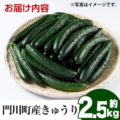 宮崎県産きゅうり2.5kg