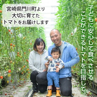 ＜期間限定・先行予約＞朝採れフルーツトマト　2kg～2.2kg