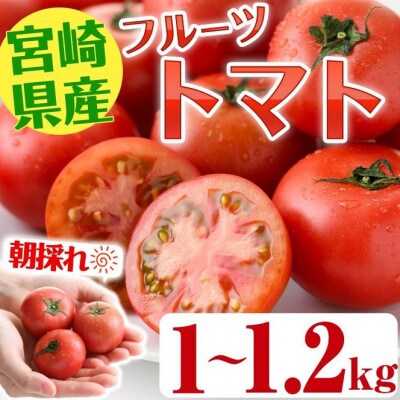 【期間限定・先行予約】朝採れフルーツトマト(1kg～1.2kg)