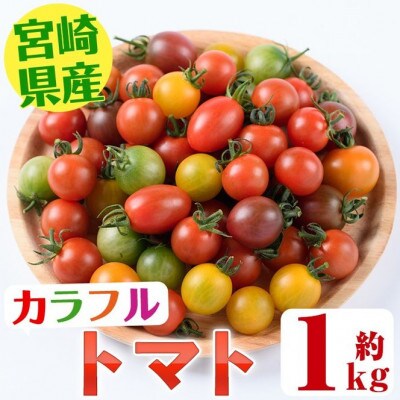【期間限定・先行予約】金丸さん家のカラフルトマト(約1kg)