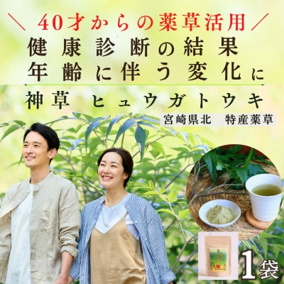 日々是トウキ茶 (ヒュウガトウキ/日本山人参) 40g ×1袋