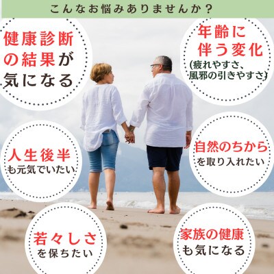 日々是トウキ茶 (ヒュウガトウキ/日本山人参) 40g ×1袋