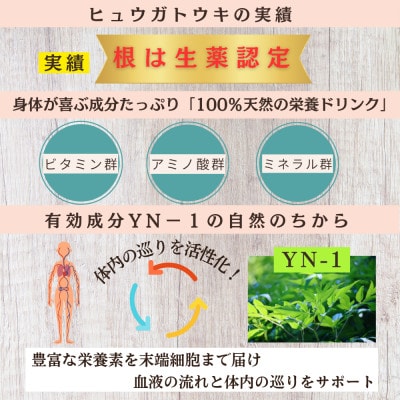 日々是トウキ茶 (ヒュウガトウキ/日本山人参) 40g ×1袋