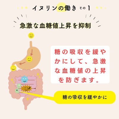 宮崎産きくいもパウダー1袋
