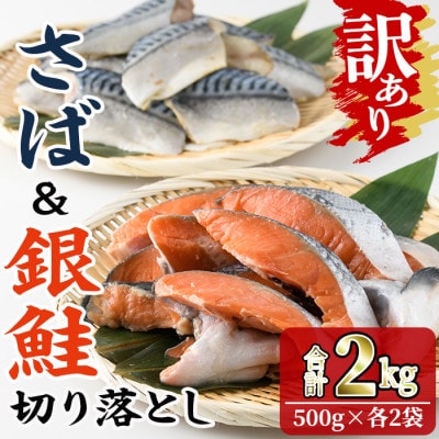 【訳あり】無塩 銀鮭と骨取りサバの切り落としセット(各500g×2袋)