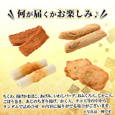 【毎月定期便】訳ありさつま揚げ詰め合わせ全3回