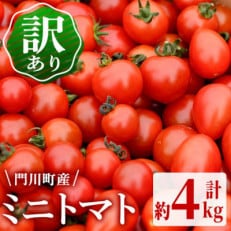 &lt;訳あり・規格外&gt;数量限定!門川町産ミニトマト(計約4kg)