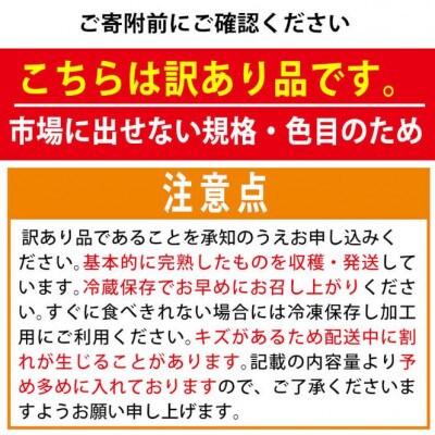 <訳あり・規格外>数量限定!門川町産ミニトマト(計約4kg)