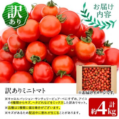 <訳あり・規格外>数量限定!門川町産ミニトマト(計約4kg)