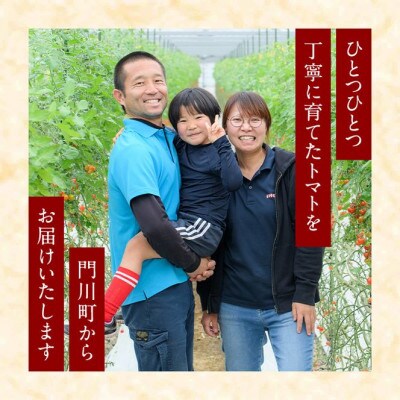 <訳あり・規格外>数量限定!門川町産ミニトマト(計約4kg)