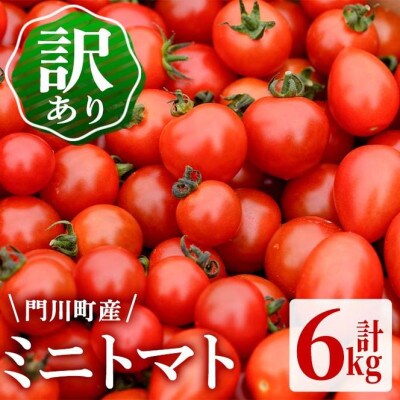 <訳あり・規格外>数量限定!門川町産ミニトマト(計約6kg)