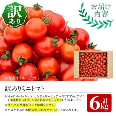 <訳あり・規格外>数量限定!門川町産ミニトマト(計約6kg)