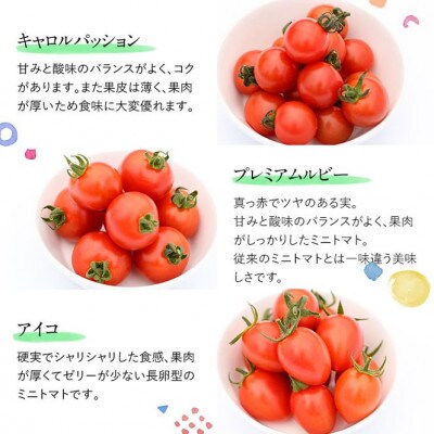 門川町産完熟ミニトマト4種食べ比べセット(合計2kg・各500g)