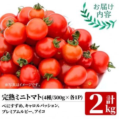 門川町産完熟ミニトマト4種食べ比べセット(合計2kg・各500g)