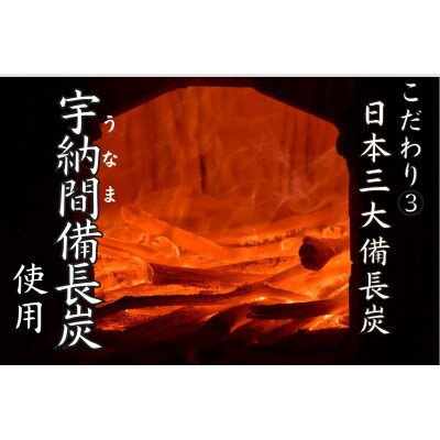若鶏の炭火焼15パックセット