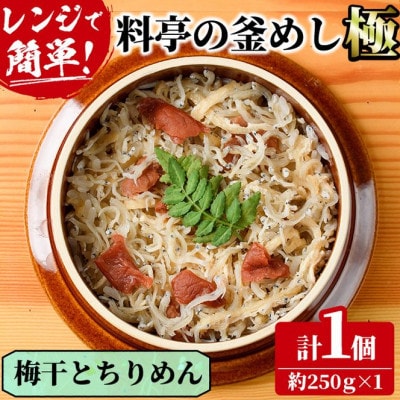 料亭の釜めし・極【梅干しとちりめん】