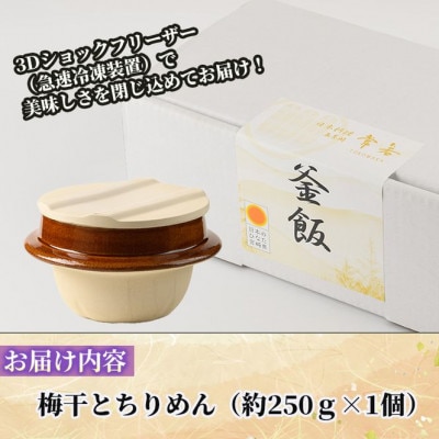 料亭の釜めし・極【梅干しとちりめん】
