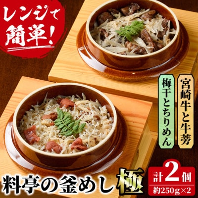 料亭の釜めし・極【宮崎牛と牛蒡】【梅干しとちりめん】