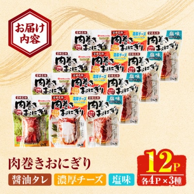 肉巻きおにぎりセット (3種) (門川町)