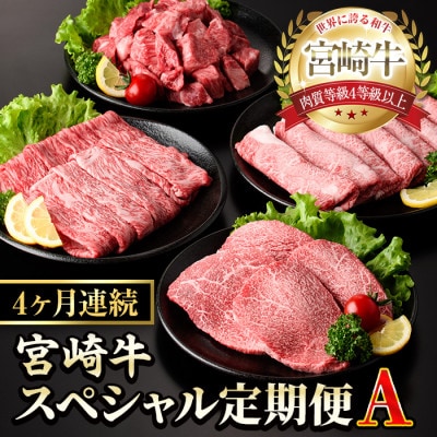 【毎月定期便】宮崎牛スペシャル定期便A全4回