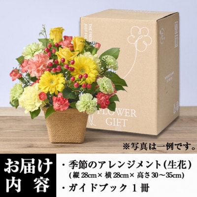 季節のお楽しみフラワーアレンジメント (生花:Mサイズ)