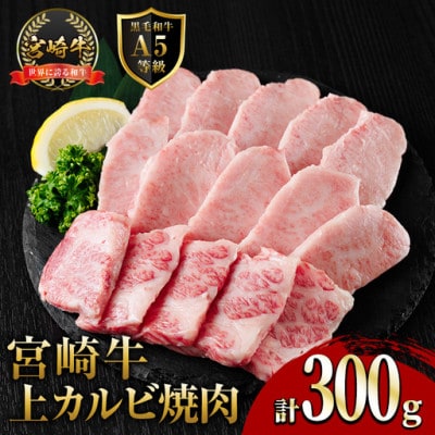 新鮮チルド便 宮崎牛A5上カルビ焼肉(300g×1P)(門川町)