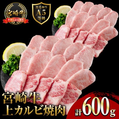 新鮮チルド便 宮崎牛A5上カルビ焼肉(300g×2P)(門川町)