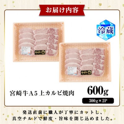 新鮮チルド便 宮崎牛A5上カルビ焼肉(300g×2P)(門川町)