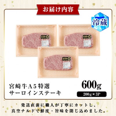 新鮮チルド便 宮崎牛A5特選サーロインステーキ(200g×3枚)(門川町)