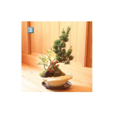 養庄園 季節の寄せ植え盆栽