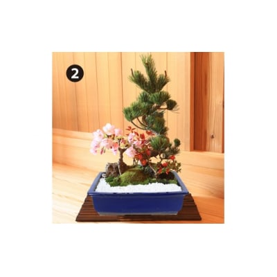 養庄園 季節の寄せ植え盆栽