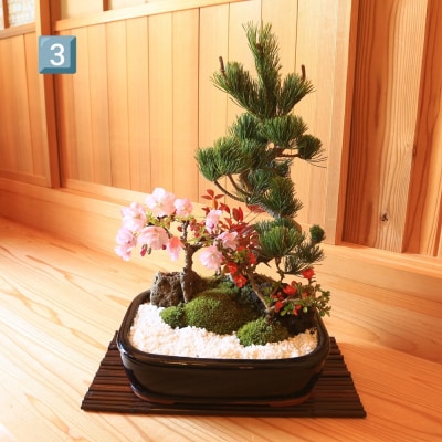 養庄園 季節の寄せ植え盆栽