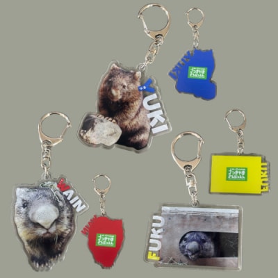 五月山動物園　ウォンバットグッズBセット