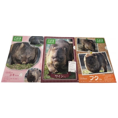 五月山動物園　ウォンバットグッズBセット
