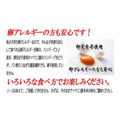 スエヒロ家 イベリコ豚100% 手作りハンバーグ 110g×4個(冷凍)