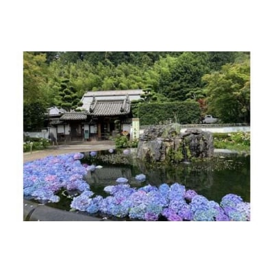 久安寺 座禅・写経体験