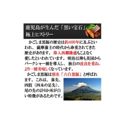 スエヒロ家 鹿児島黒豚厚切りロースとんかつ 150g×3枚