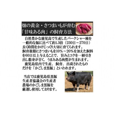 スエヒロ家 鹿児島黒豚やわらか一口豚ヒレとんかつ 30g×6個