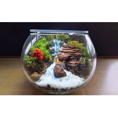 岩崎正光園  苔テラリウム