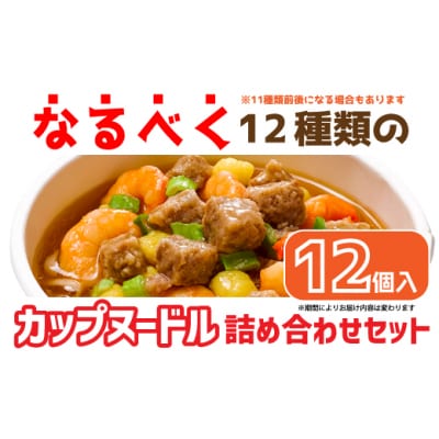 【4/1～寄附額改定】日清食品「インスタントラーメン発祥の地・大阪池田」お手頃ハーフサイズセット