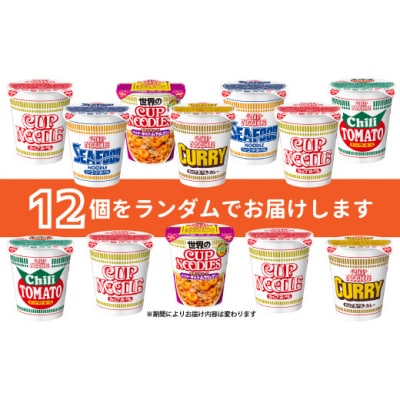 【4/1～寄附額改定】日清食品「インスタントラーメン発祥の地・大阪池田」お手頃ハーフサイズセット