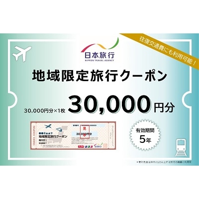 大阪府池田市 日本旅行 地域限定旅行クーポン30,000円分
