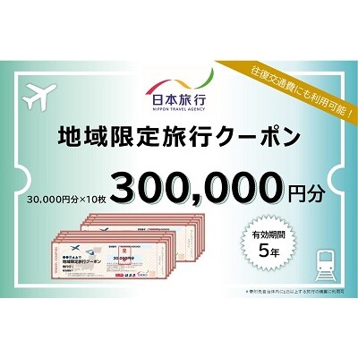 大阪府池田市 日本旅行 地域限定旅行クーポン300,000円分