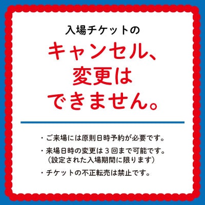 2025年 大阪・関西万博入場チケット 一日券(大人)
